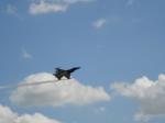 Dijon0608_Xjiks_145.JPG